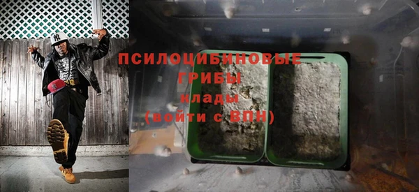 стафф Абинск